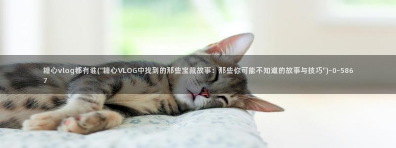 糖心一：糖心vlog都有谁(\